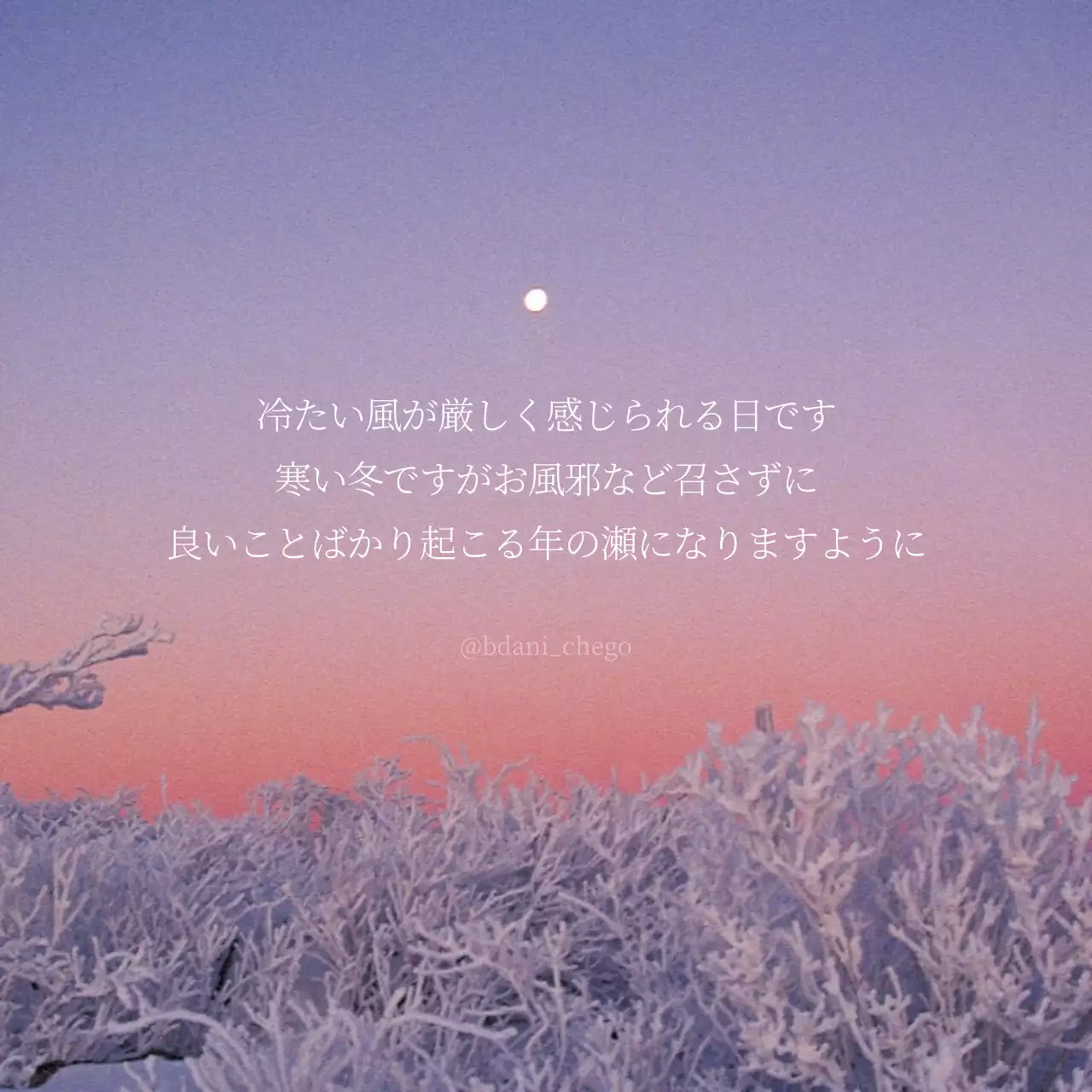 ピンク シンプル 冬 はがき Instagram投稿