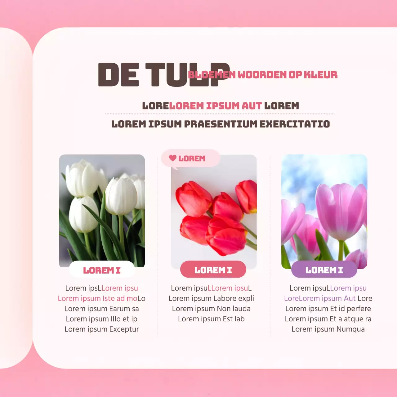 Tulp bloem in rozeWoordenboekkaartNieuws ontwerp