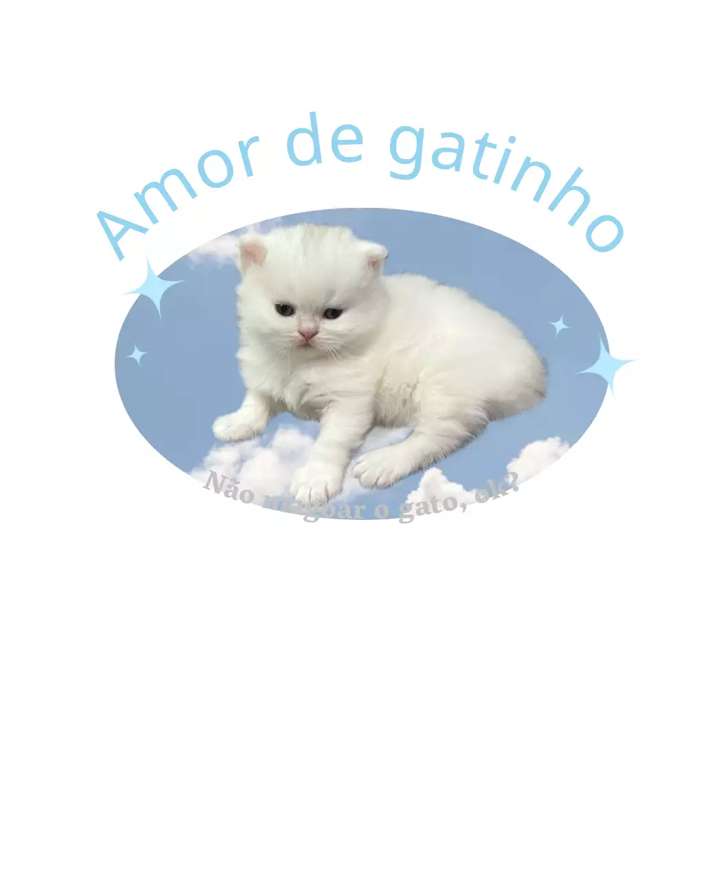 Gato branco bonito com fundo de céu