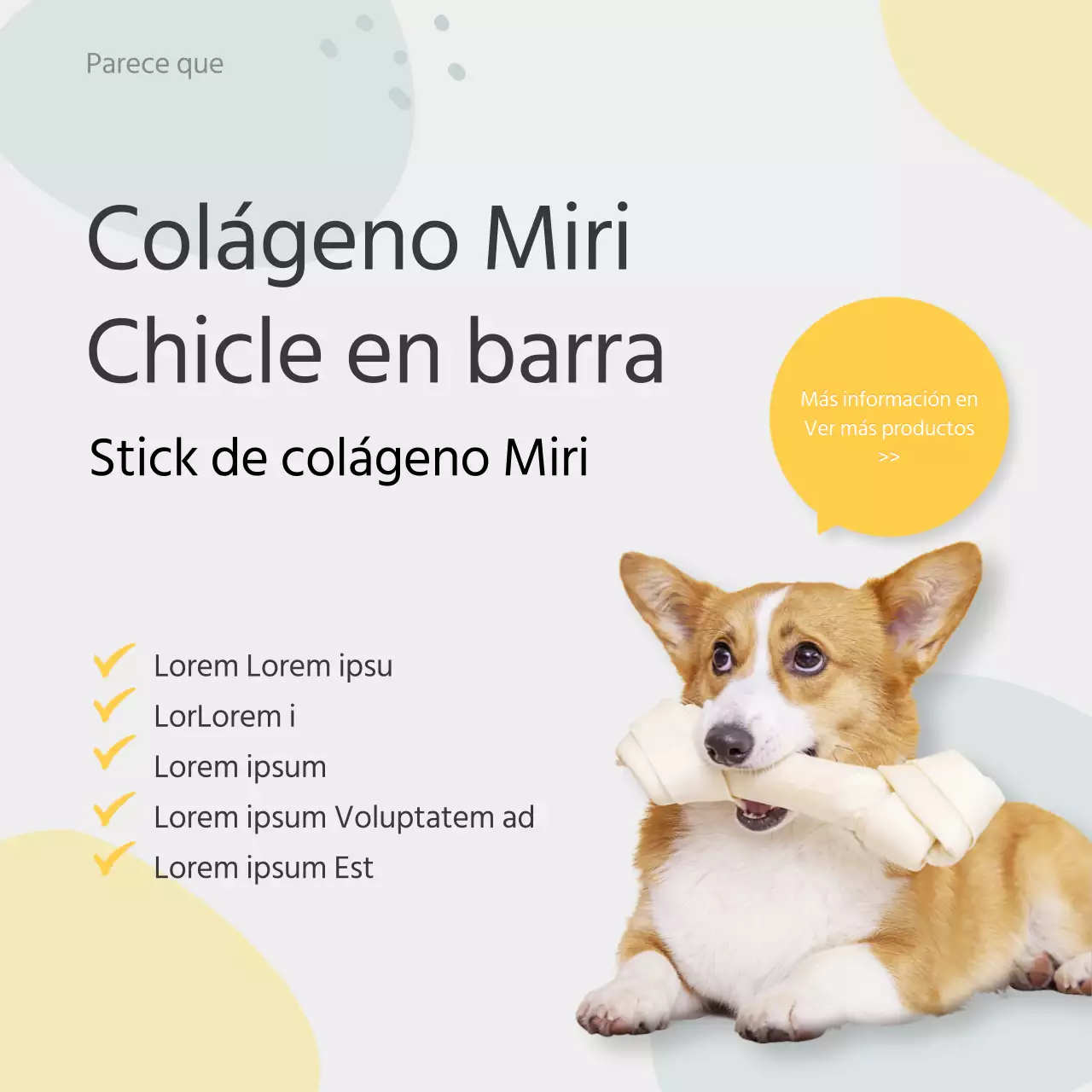 Alertas informativas para perros en colores pastel