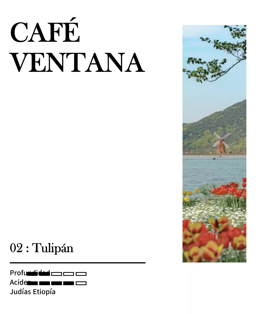 Un diseño sencillo con una foto de paisaje de tulipanes vintage en negro