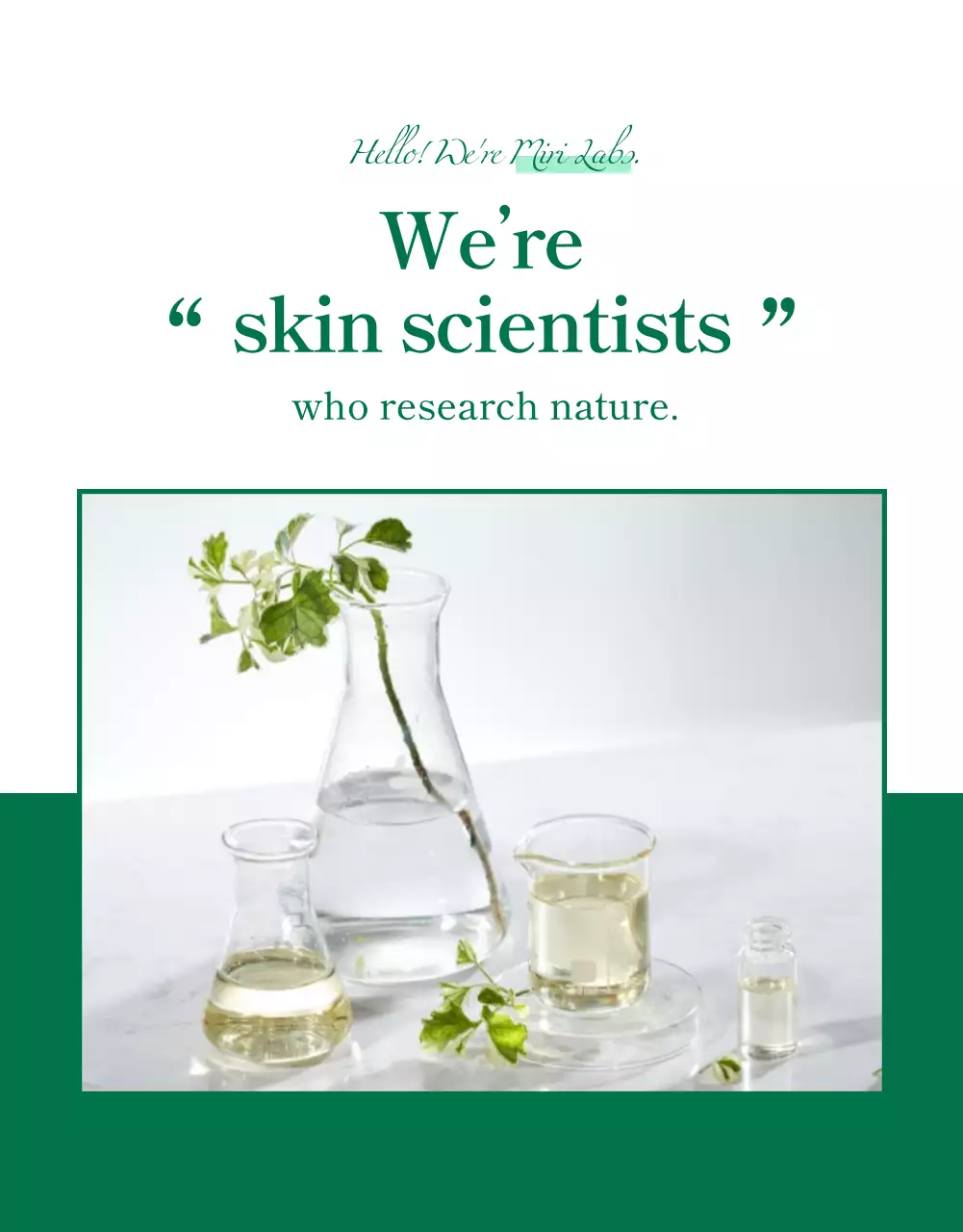 Wadiz Detail Page_Beauty