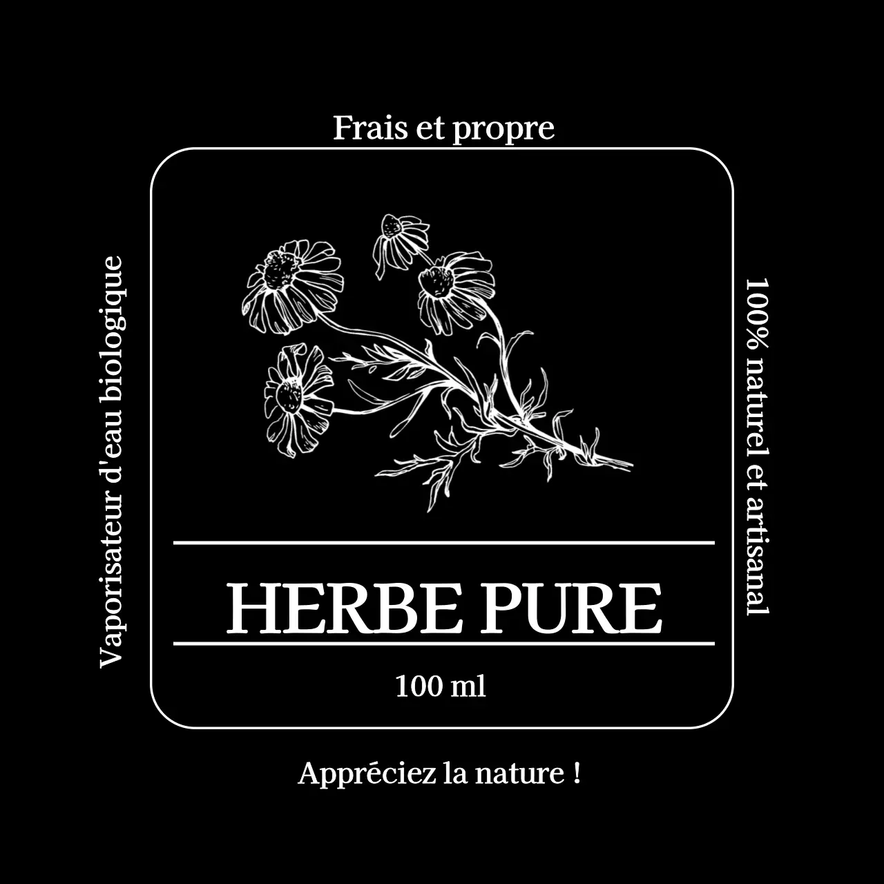 Désinfectant pour les mains Pure Herbs