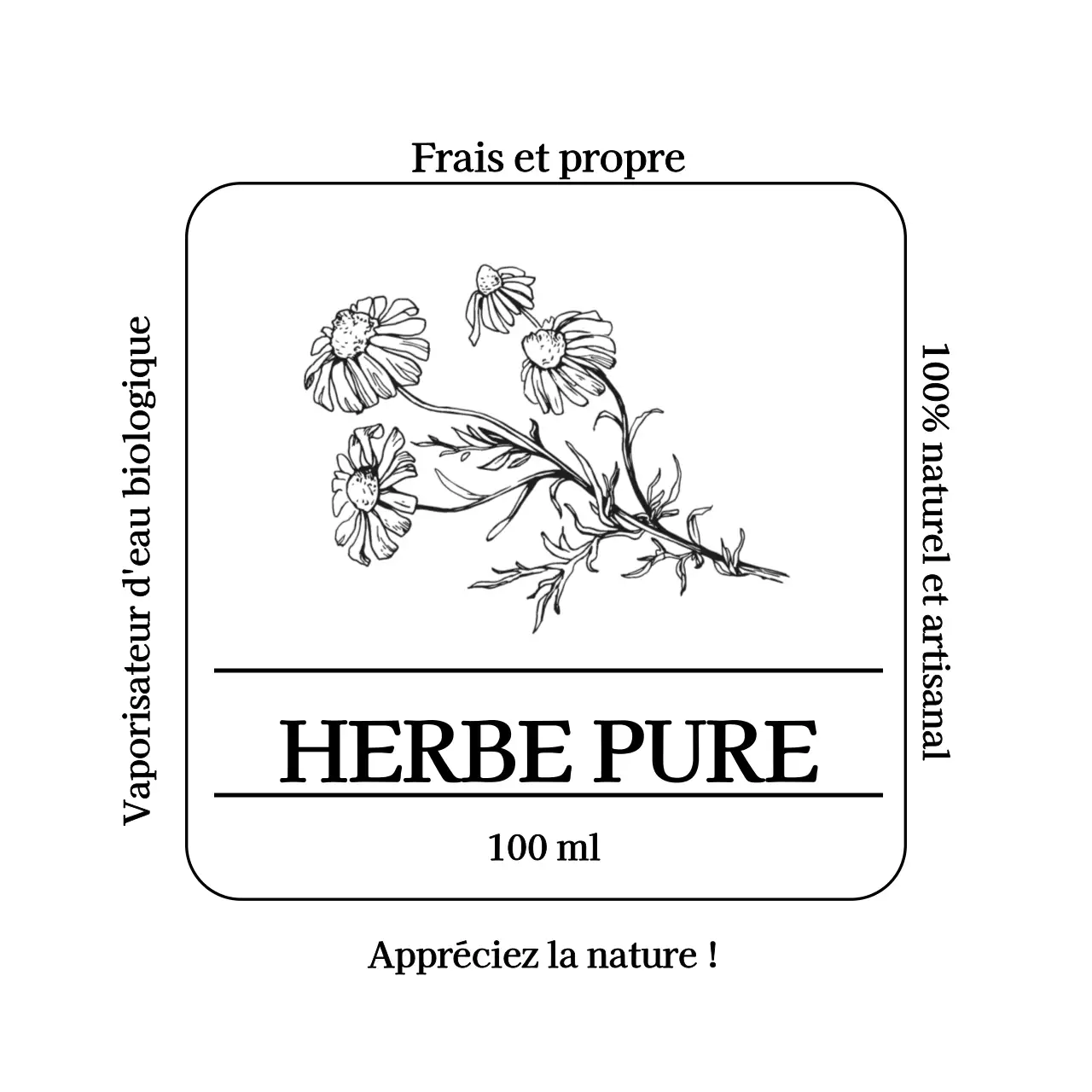 Désinfectant pour les mains Pure Herbs