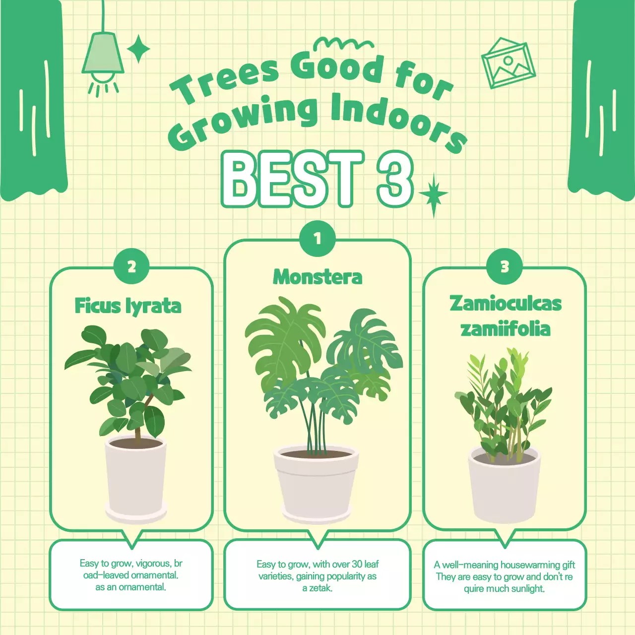 Green Simple Indoor Plants Guide Instagram Post