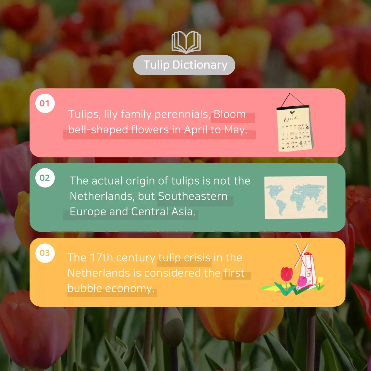 Pink Botanical Tulips Guide Instagram Carousel