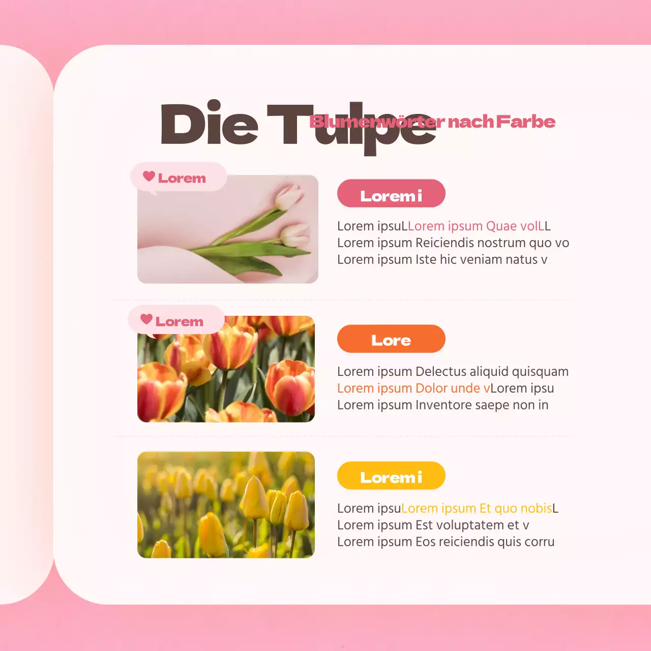 Tulpenblüte in RosaWörterbuchkarteNeues Design