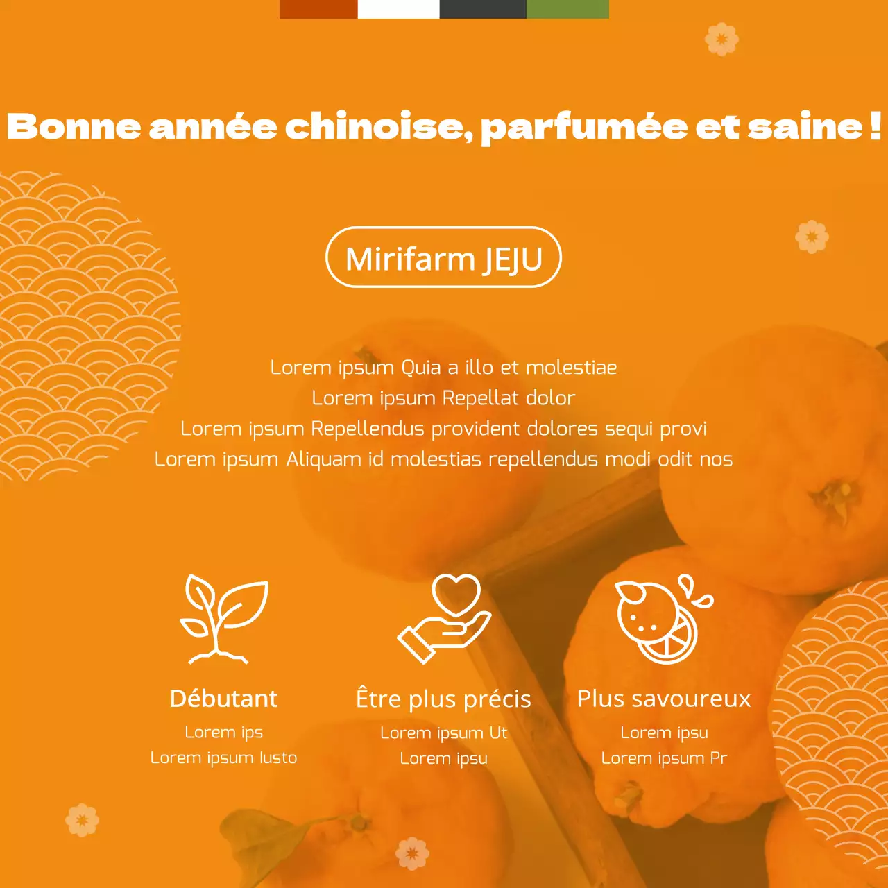 Thème du coffret cadeau Hallabong, concept traditionnel orange pour les fêtes de fin d'année