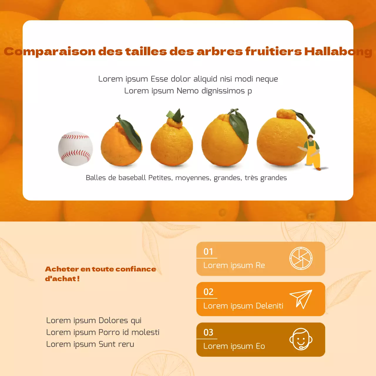 Thème du coffret cadeau Hallabong, concept traditionnel orange pour les fêtes de fin d'année