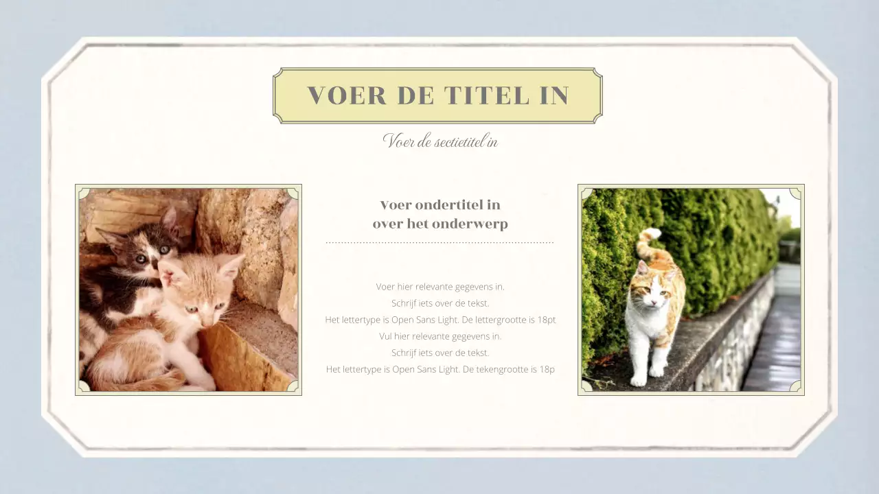 Emotionele conceptuele basislay-out met vintage behangpatroon in beige en lichtblauw