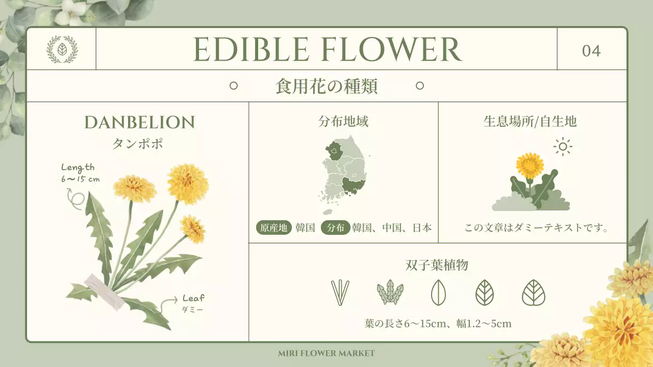 緑 ナチュラル 図鑑 資料 プレゼンテーション