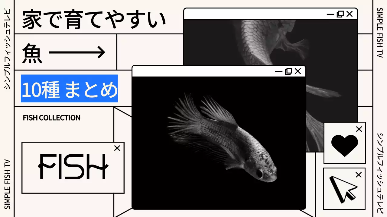 黒とベージュのグリッドウィンドウコンセプトの魚飼育用の水槽
