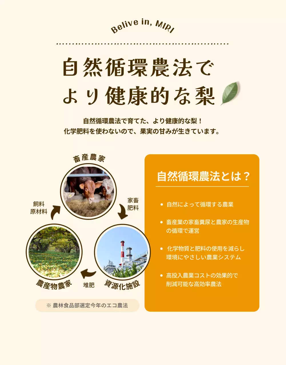 ベージュ シンプル ジュース パンフレット 詳細ページ