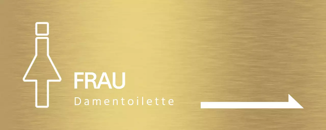 Toilettenanweisungen mit weißen menschlichen Piktogrammen und Pfeilen