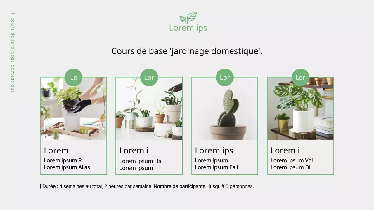 Vert olive, proposition de classe chaude (présentation)