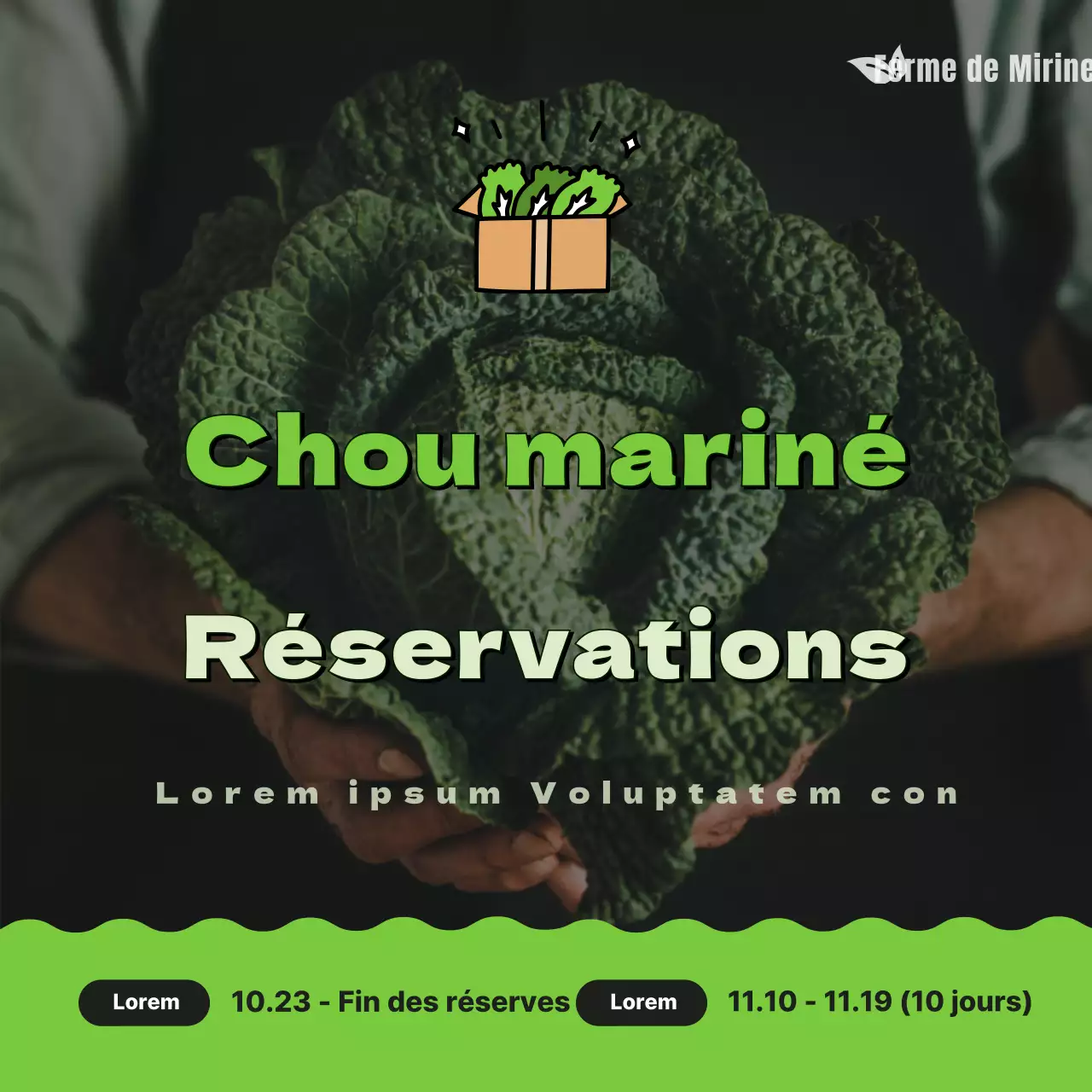 Comment réserver votre chou vert et mignon au vinaigre