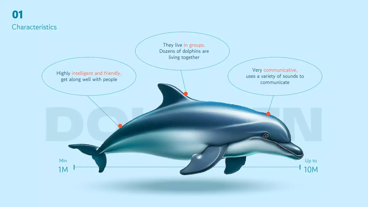 블루 모던 돌핀 가이드 프레젠테이션