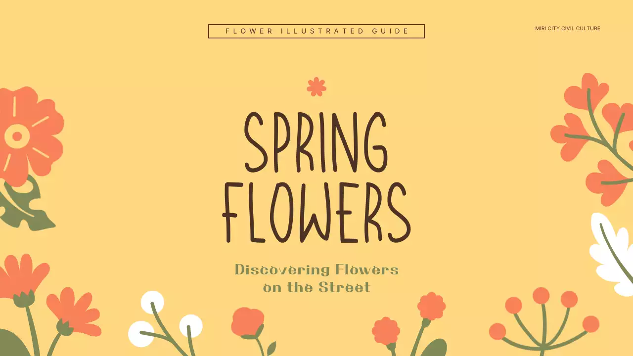 Introducing yellow and orange spring flowers