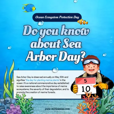 Blue Modern Marine Announcement Social Media Post