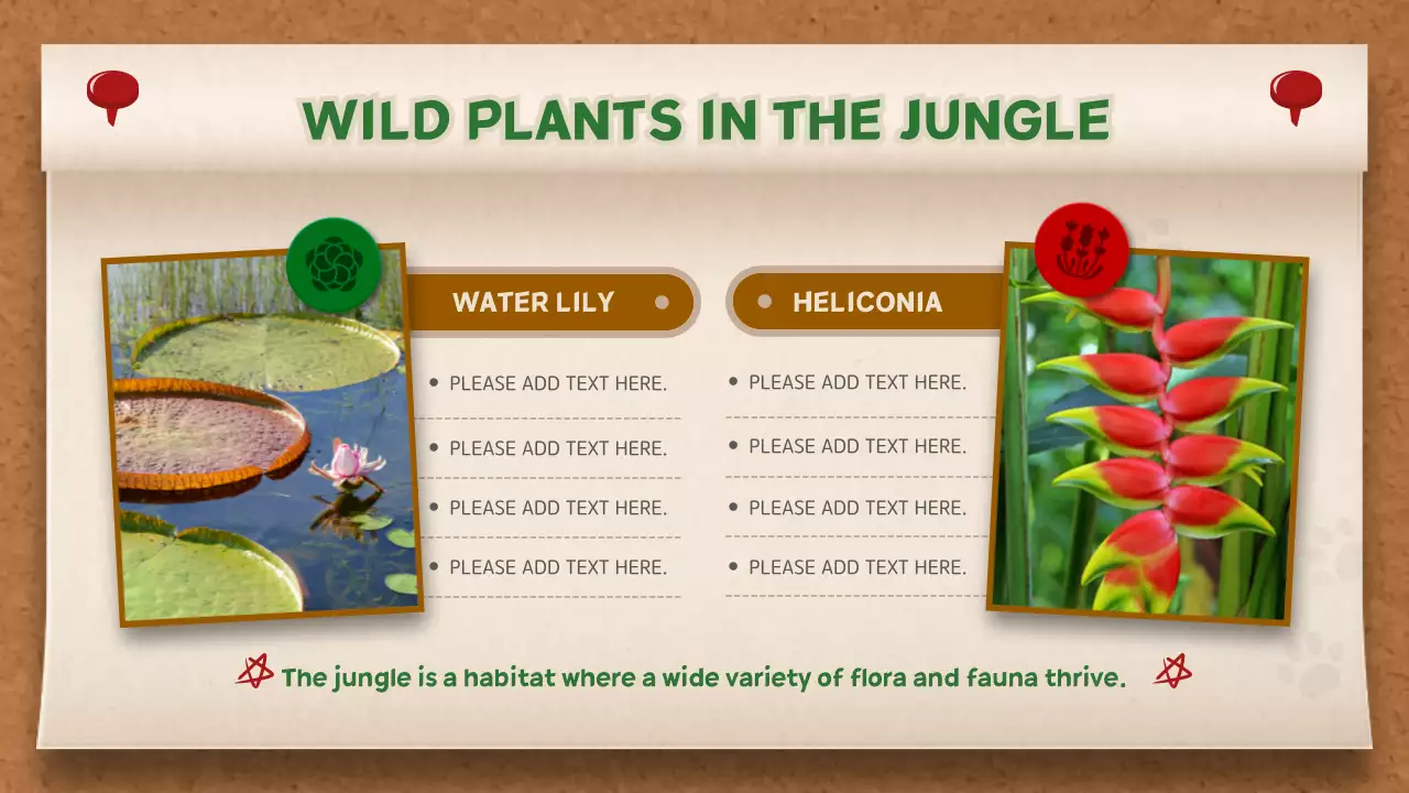 Beige Rustic Jungle Guide Presentation