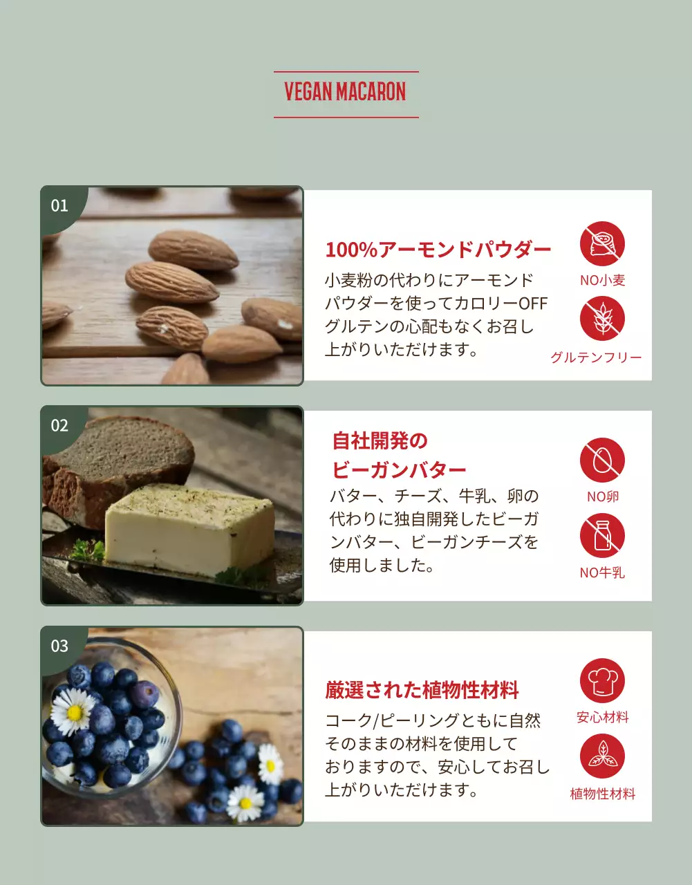 ミントと赤のビーガンマカロンファンディング紹介