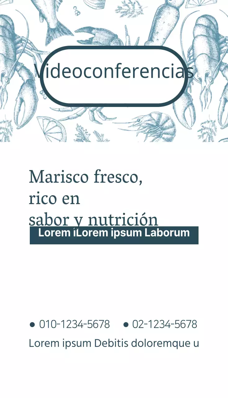 Videoconferencias