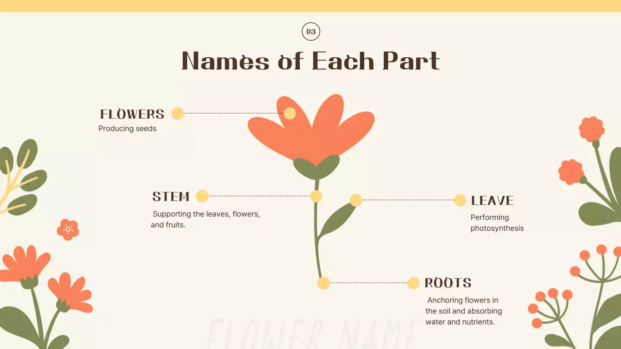 Introducing yellow and orange spring flowers