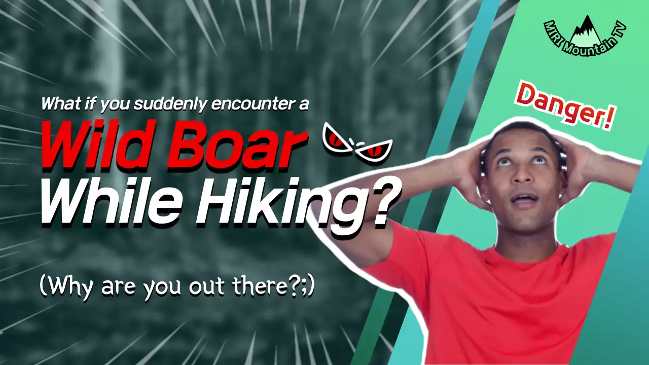 Panduan Pendakian Modern Hijau Gambar Mini YouTube