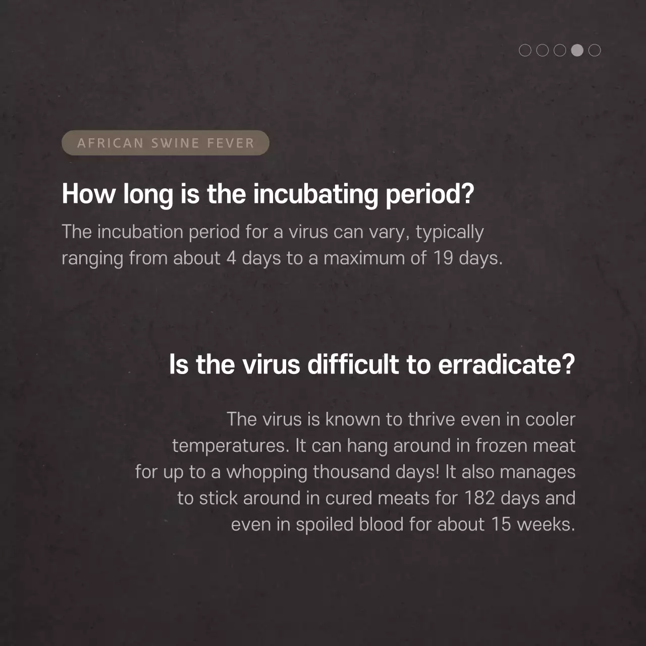 Swine Fever Card News