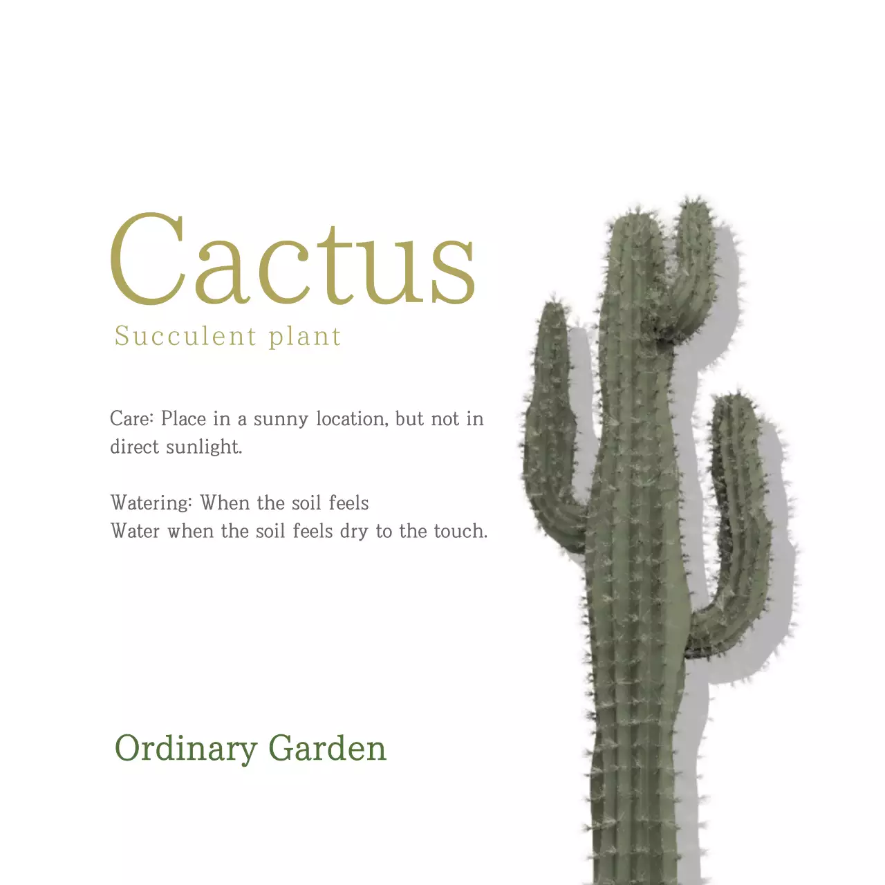 Spanduk Panduan Kaktus Minimal Hijau