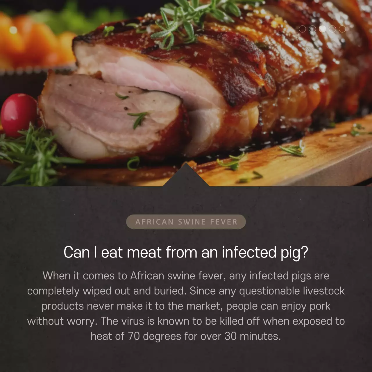 Swine Fever Card News