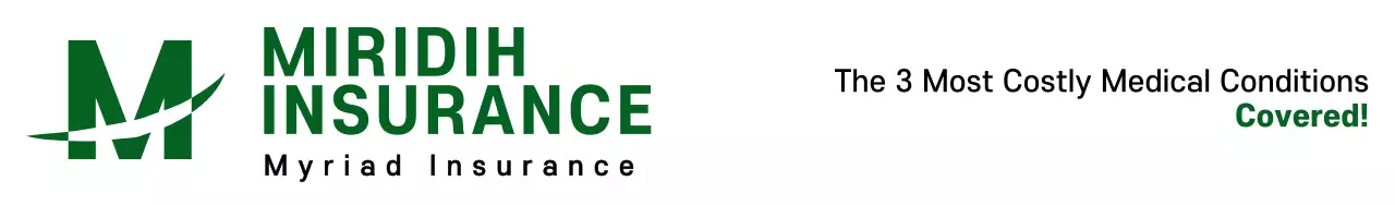 A simple design with a green logo, the name of the insurer, and a description of the insurance product.