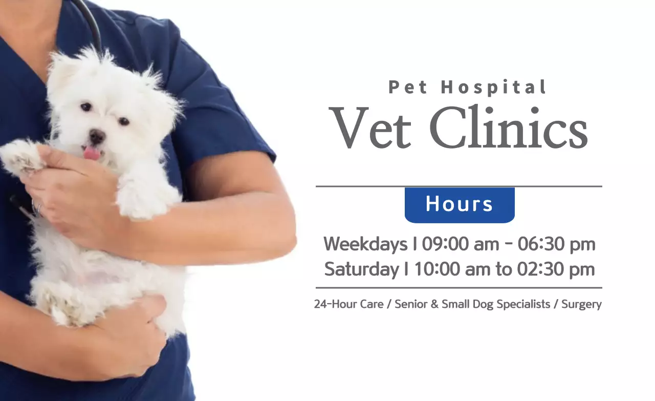 Promote veterinary clinic hours with a dark gray-blue photo