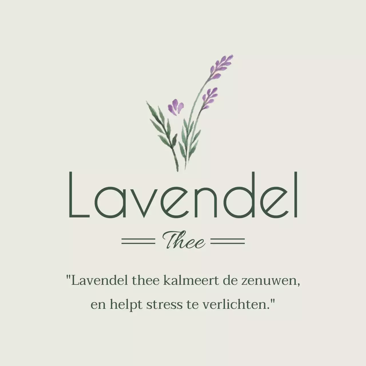 Lavendel
