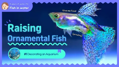 Blue Modern Aquarium Guide YouTube Thumbnail