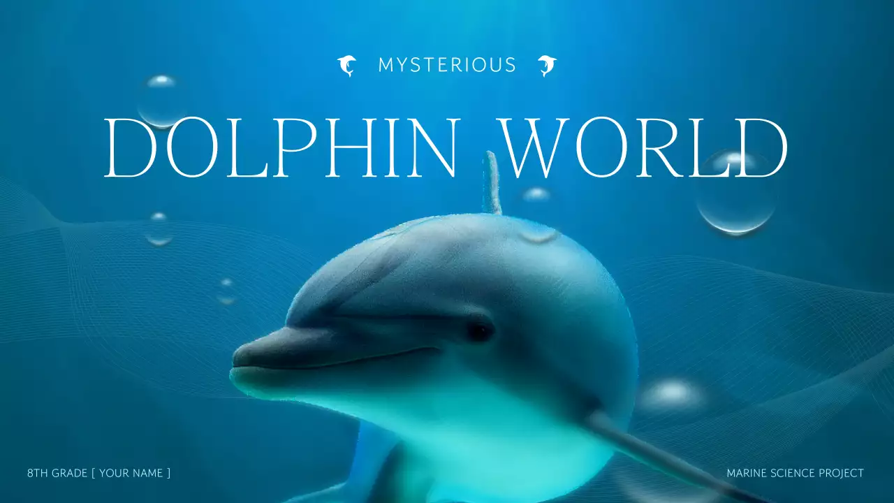 블루 모던 돌핀 가이드 프레젠테이션