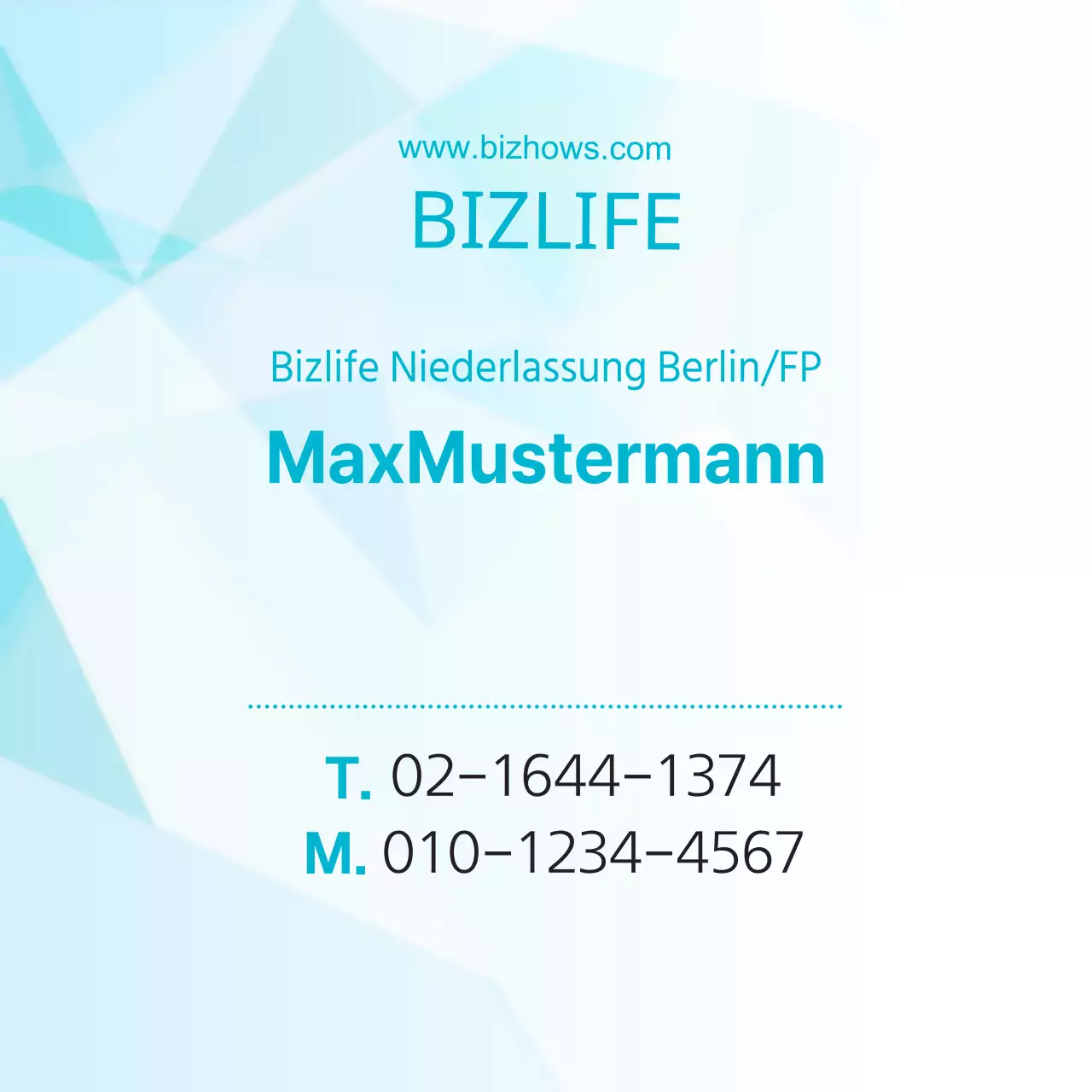 BIZLIFE Blau