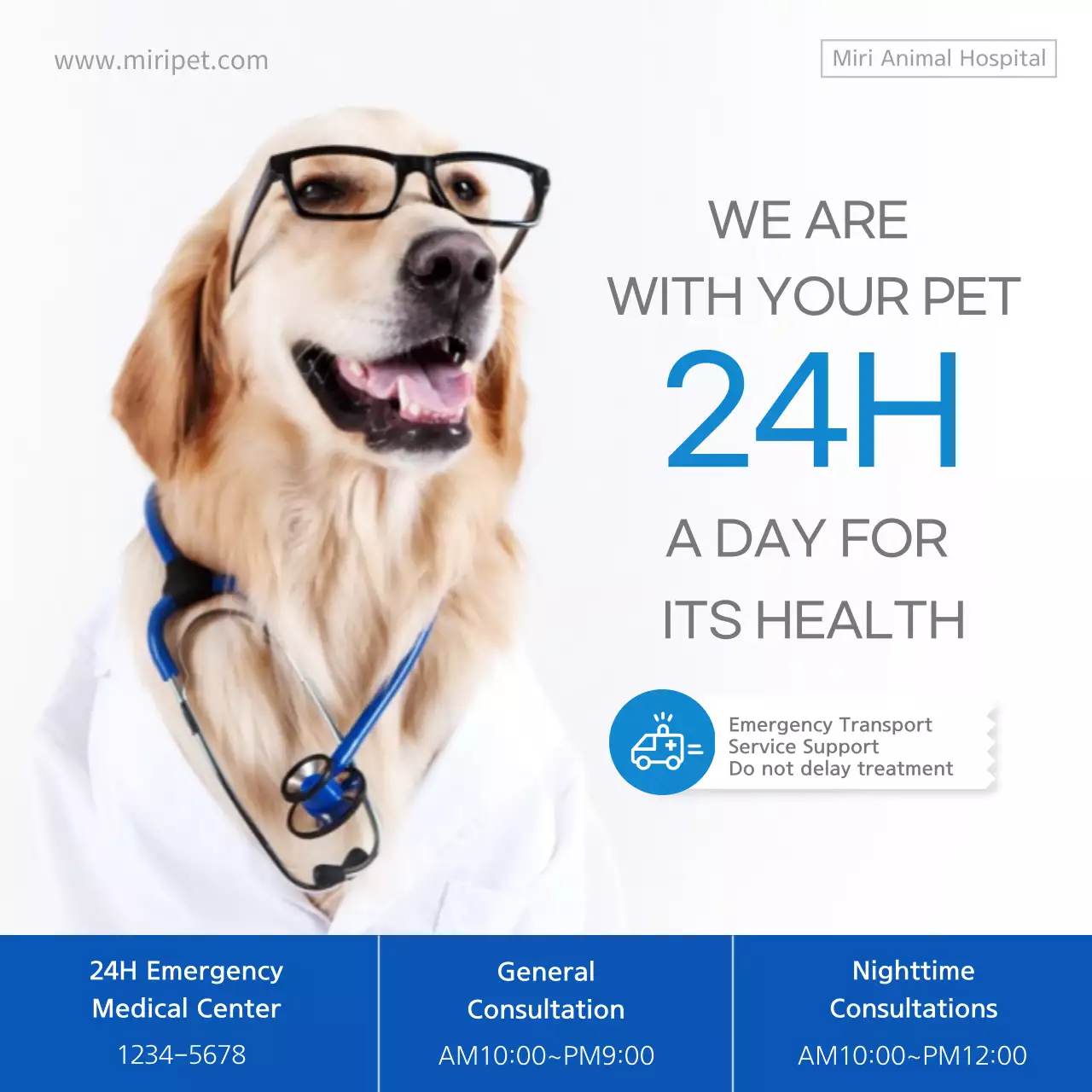 White Professional Pet Health Advertisement Instagram Post