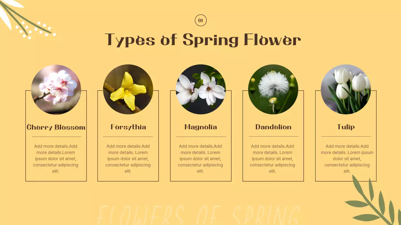 Introducing yellow and orange spring flowers