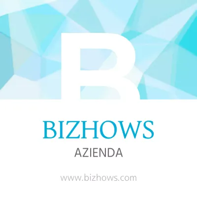 BIZHOWS