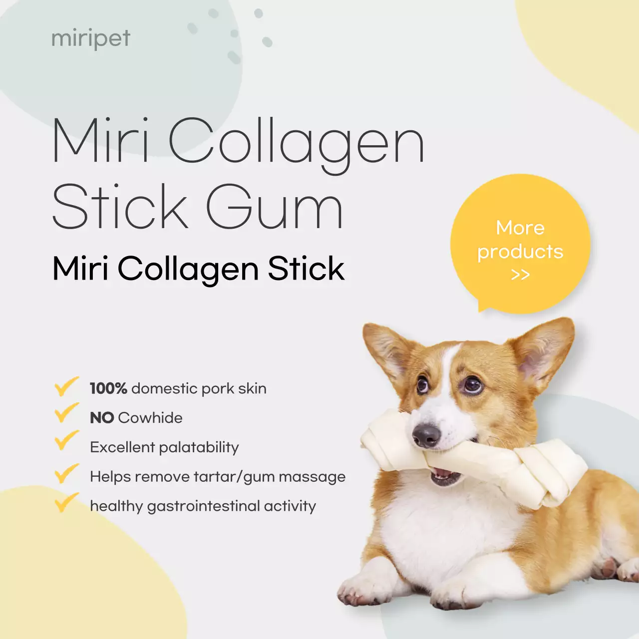 Beige Minimal Pet Promotion Social Media Post