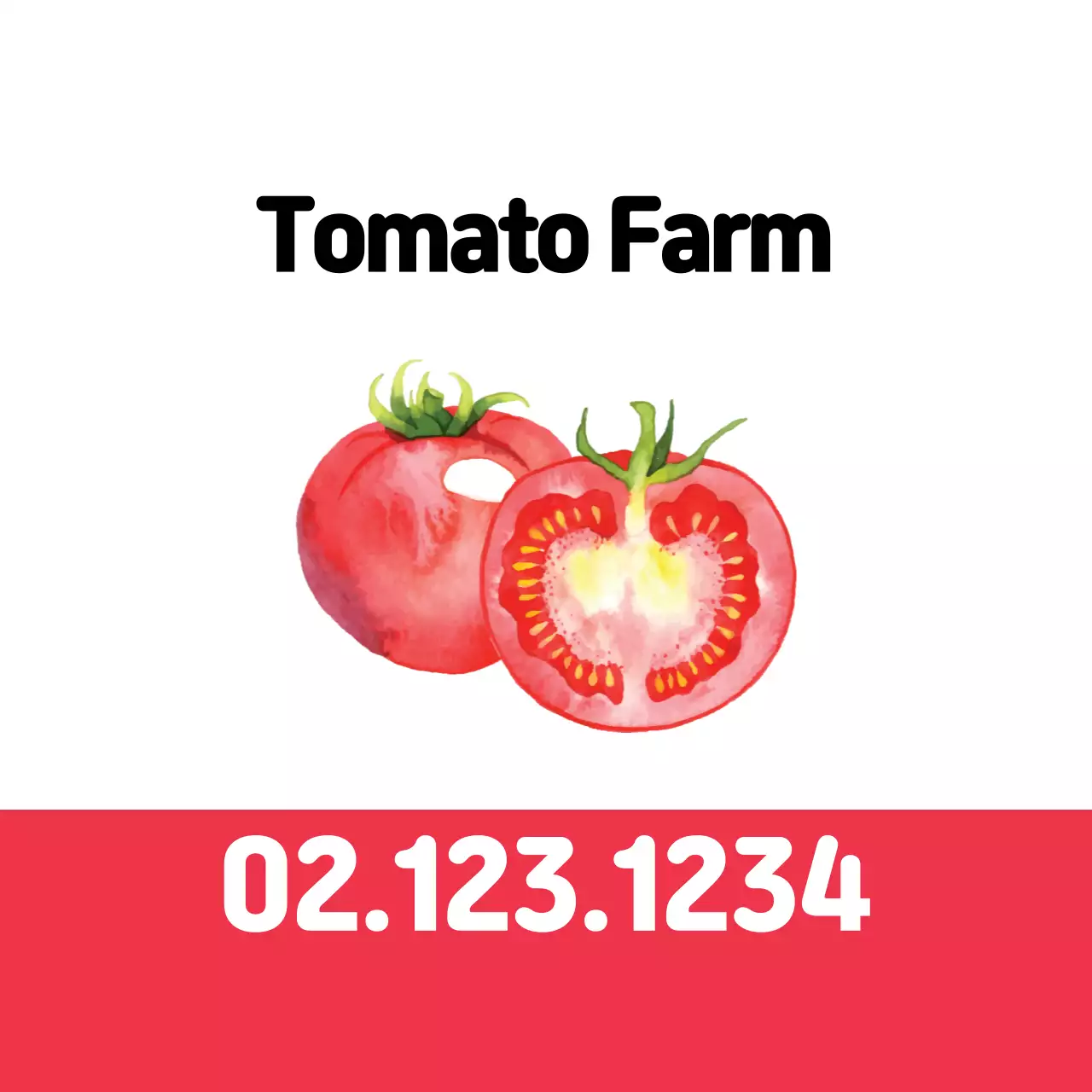 minh họa màu đỏ trang trại cà chua gọn gàng