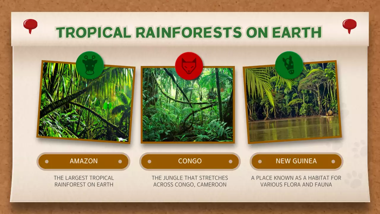 Beige Rustic Jungle Guide Presentation