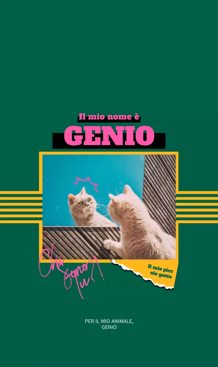 Foto e frasi di gatti con concetti divertenti in colori vivaci e brillanti