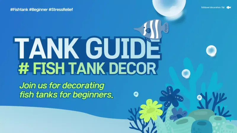 Panduan Ikan Modern Biru Gambar Mini YouTube