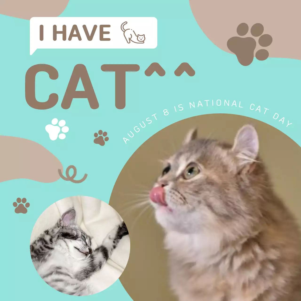 Mint Playful Cat Announcement Social Media Post