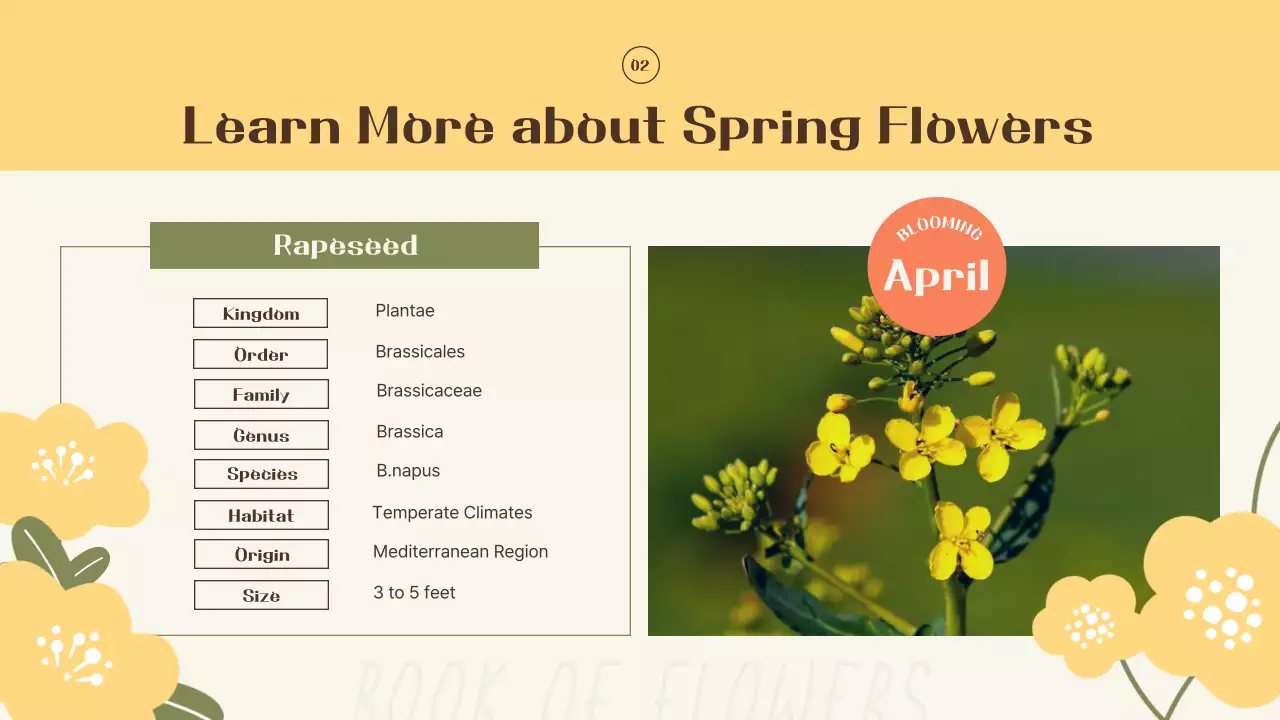Introducing yellow and orange spring flowers