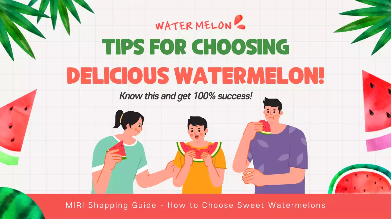 Panduan Buah Hijau Sederhana Gambar Mini YouTube