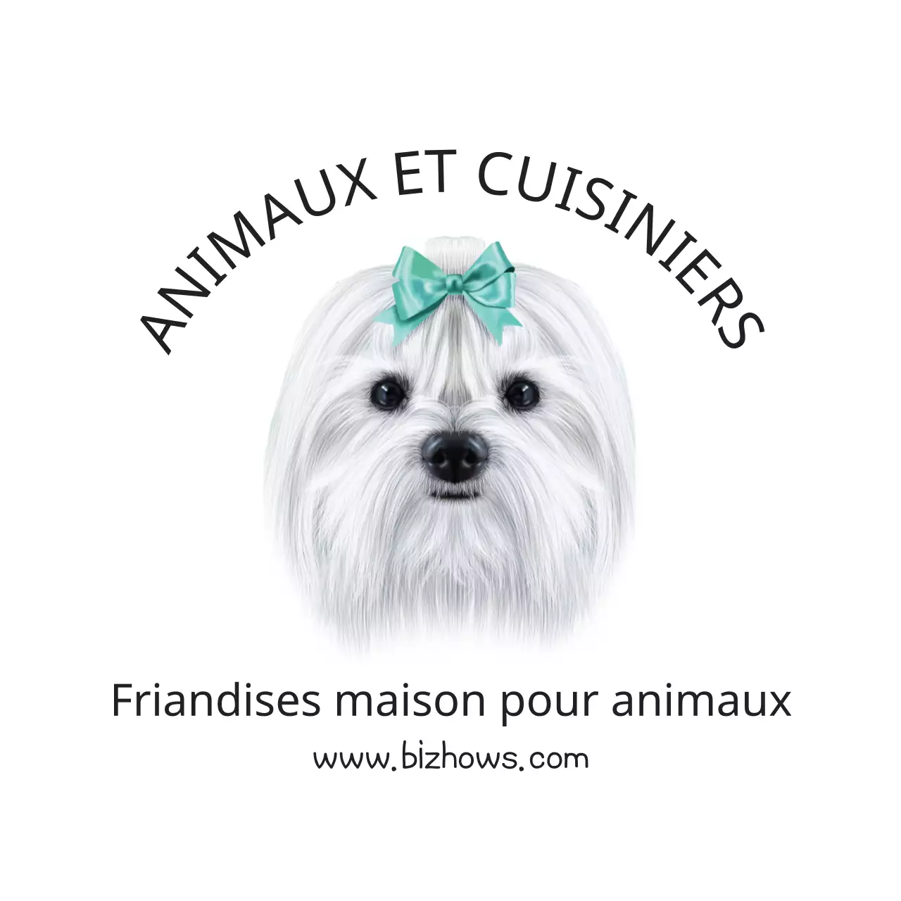 Animaux de compagnie