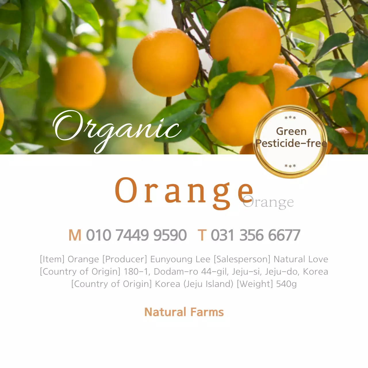 Spanduk Iklan Hijau Pedesaan Oranye